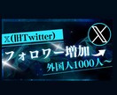 Xの外国人フォロワーを増やします 旧Twitter外国人フォロワーを1000人増加します！ イメージ1