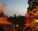 京都(市内)の日帰り☆最高のデートプラン☆考えます。 イメージ2
