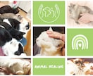 大切なペットさんへアニマルヒーリングをします ✤動物さんの健やかな毎日のお手伝い✤お家でゆったりヒーリング イメージ2