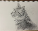 ペット似顔絵　鉛筆やクレヨンで描きます そばにいる、あたたかさをお届けします イメージ7