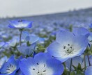恋愛から将来のことまでなんでも聞きます 人生の半分ほど生きてきたオタクです、お気軽に！ イメージ1