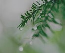 高齢者と障害者の同居生活の大変さを母がお聞きします 下半身麻痺の父と視覚障害者の兄の暮らしは、辛く・苦痛です。 イメージ9