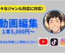 動画編集【様々なジャンル対応】します 【ビジネス系得意／CJ卒】の現役エンジニアが動画編集をします イメージ1