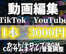 YouTube shorts動画編集します YouTube shortsなどの動画編集 イメージ1