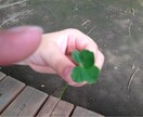 気持ちに寄り添い心の負担を軽くする手伝いを行います ♡心に光を、電話相談で気持ちが軽くなります。 イメージ1