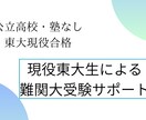 難関大を目指す高校生の受験サポートを行います 公立高校出身塾なし現役東大生による直接指導 イメージ1
