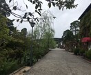 オーダーメイド旅行プラン＋αご提案いたします 旅が楽しくなる本と食で健康的な旅をプランニング！ イメージ8