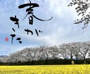 筆文字のデザイン力と書道の技術を活かして制作します ひとつ格上の筆文字を目指します イメージ4