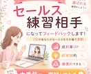 お試しカウンセリングのセールスの練習相手になります 練習相手になって、うまくいくコツや秘訣をアドバイスします。 イメージ1