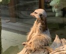 森のクマさんがあなたの愚痴を2倍聞きます 愚痴は甘えではありません。朝起きれない等、悪化する前にぜひ！ イメージ6