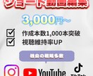 ショート動画!プロが魅せる動画編集で成果に導きます 視聴維持率を高め、認知→集客→売り上げに繋げます！ イメージ1