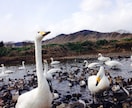 福島県を中心とした、あなたにぴったりなお出かけプランつくります！ イメージ2