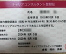 半導体＆製造メーカーへの就転職相談を丁寧に受けます ビデオチャットで半導体歴27年のプロが相談にのります イメージ4
