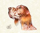 わんこの似顔絵描きます わんこのお顔から首までの似顔絵を描きます イメージ1