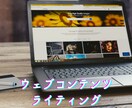 ネイティブが外国人目線で英語ライティングします 越境ECサイトの文章、スピーチ原稿、面接対策、HP、メール イメージ6