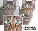 記念写真・家族写真・商品写真を調整・加工します キレイな写真を残したい、キレイな写真で出品したい人におススメ イメージ2