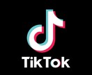 法人、企業様TikTokの運用アドバイスします 【200万回再生実績あり】初心者でも丁寧にコンサルいたします イメージ1