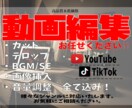 高品質！様々なジャンルの動画編集代行いたします YouTube用/ショート動画/などなどお任せください！ イメージ1