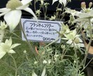 味のある手書きPOPを書きます 長く愛されるPOPが得意です。 イメージ3