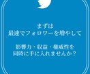 Twitterでフォロワー増やすコンサルをします 69日で万垢になった私がフォロワーの増やし方をお教えします イメージ4