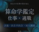算命学で仕事の向き・不向きを鑑定します 才能・資質から適職と対人関係を読む イメージ1