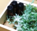 今のあなたを応援するアロマをお伝えします 精油(植物)のスピリットからのメッセージも受け取ります イメージ2