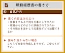 完全丸投げ　履歴書や職務経歴書をプロが作成します ゼロから作成代行/ポイント解説付　総販売実績2000件突破 イメージ14