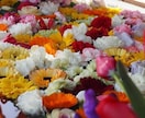 霊視で魅力開花！なぜか愛される引き寄せ体質にします 自分を好きになり運命を変える。隠れた才能と愛されオーラ鑑定 イメージ7