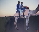 インド旅行・出張の旅程をサポートします ご要望に可能な限りお応え！　まずはメッセージください。 イメージ2