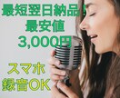 あなたの【歌ってみた】をプロ仕様にします 実力派作家による本格ボーカルMIX イメージ1