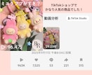 TikTokでPRします 貴社の商品宣伝のお手伝いをいたします！ イメージ2