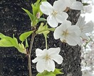 ポジティブに、元気になれるよう応援します 辛い毎日よりも楽しい毎日に！！ イメージ1