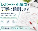 レポート文章を添削します 誤字脱字から構成まで丁寧に見ます イメージ1