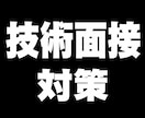 技術面接等の発表資料に想定質問を50個作成します プライム市場上場企業の現役研究者が技術面接対策をサポート！ イメージ1