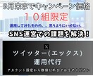 SNS成功へのショートカットさせます あなたの夢、私たちが徹底サポート。 イメージ1