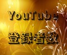 YouTube 登録者数をプロモーションします ✳️登録者数増加をサポート✳️お試し頂きやすさご提供します! イメージ1