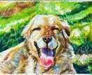 家族の肖像画(ペット)などを描かせていただきます 肖像画、風景画を、クレヨンや鉛筆で描かせていただきます。 イメージ2