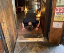 皆さんのお悩み解決します 僕の経験を少しでも人の役に立てればと思います。 イメージ6