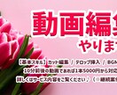YouTube動画編集やります 迅速で柔軟な対応、即レス心掛けています‼︎ イメージ1