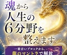 龍と共に魂と人生の６分野を整えます 一番古いブロックから龍のマントラで解放 イメージ1