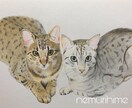 大切な家族、ペットをリアル似顔絵で描いてます リアル似顔絵は写真に近い絵です。可愛い子はさらに可愛く イメージ4