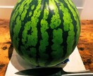 就農希望者必見！！就農相談に乗ります 就農、土づくり、農業に関するご相談なんでも イメージ5