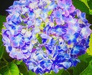 風景写真を中心に、写真を加工しポエムを作ります 風景写真を絵葉書風に加工したり、ポエムをつけたりします イメージ10