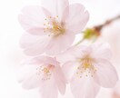 元ブライダルフローリストが花の悩み相談します 花の打ち合わせ前の不安をプロ目線で整理 イメージ1