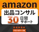 Amazon販売★プロが30日間徹底コンサルします 販売/コンサル歴14年の実績！アマゾン販売はお任せください！ イメージ5