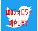 あなたのTwitterフォロワー増やします ★お試し価格であなたのフォロワー100人増やします★ イメージ1