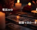 電話20分で決めます 相手の本音＋次の一手（送る文面・タイミングまで） イメージ1