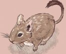 ペットイラストを制作します 大切で可愛い家族を、あなただけのイラストに！ イメージ4