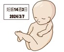 4Dエコーを自然に可愛く修正orイラスト化します 産婦人科専門医が4Dエコーをわかりやすく修正します。 イメージ3