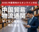 日中物流・通関書類・貿易条件・関税を教えます 中国事業20年の実績ノウハウを中国現地からオンラインでご提供 イメージ1